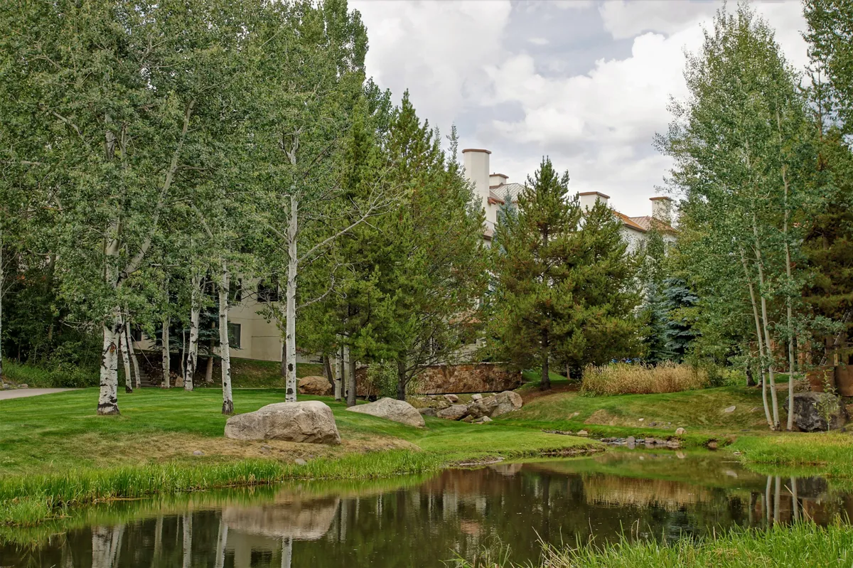 This image features a peaceful pond surrounded by tall trees, natural rock formations, and lush green grass. The tranquil setting invites visitors to enjoy nature walks, bird watching, and relaxing by the water, all under the open sky.